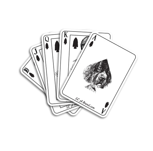 Lewis and Clark cards